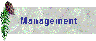 Management